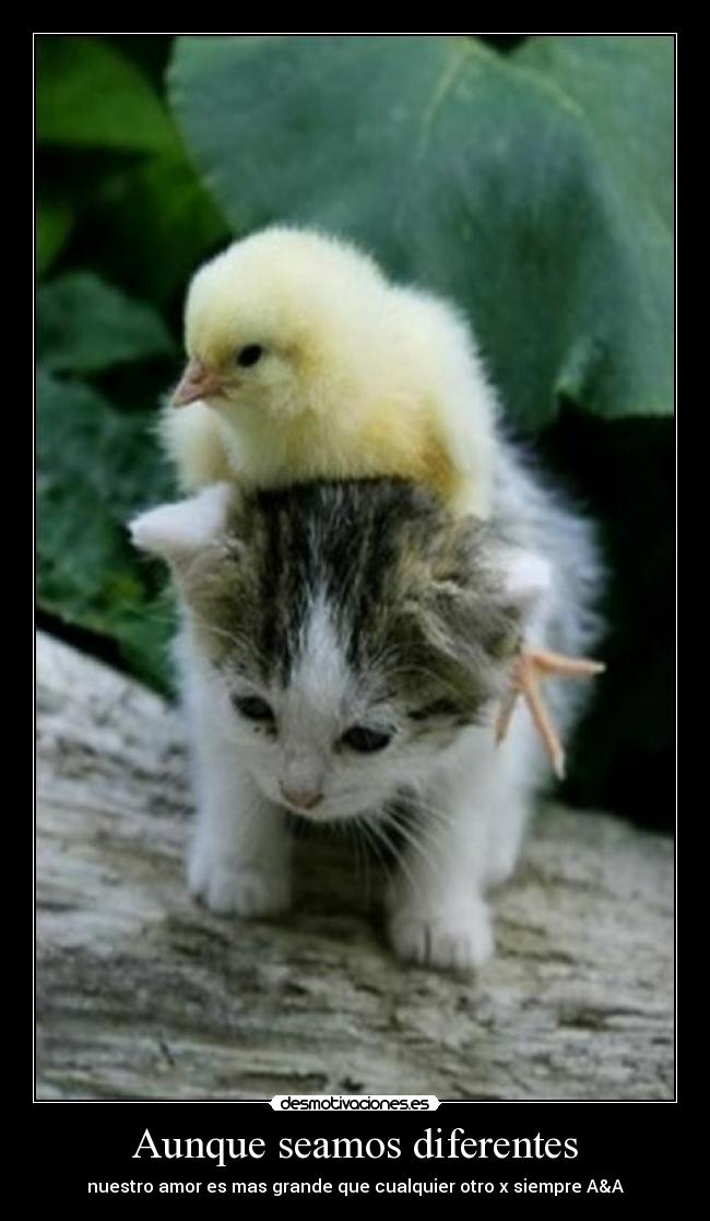 Aunque seamos diferentes - nuestro amor es mas grande que cualquier otro x siempre A&A