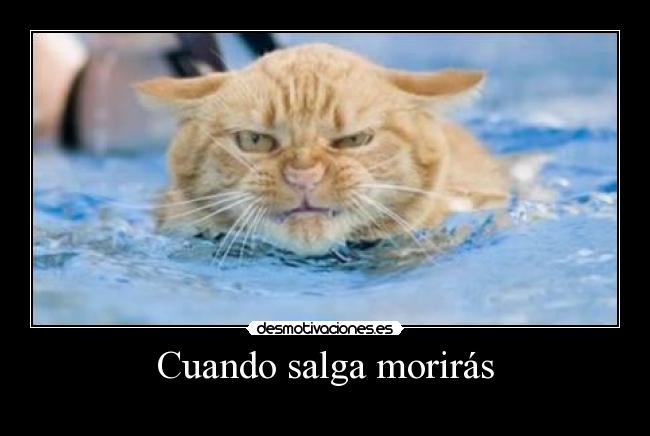 Cuando salga morirás -