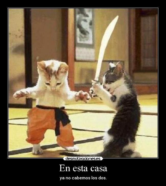 carteles casa esta casa desmotivaciones