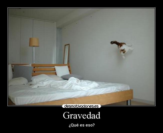 Gravedad -