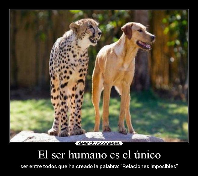 El ser humano es el único - ser entre todos que ha creado la palabra: Relaciones imposibles