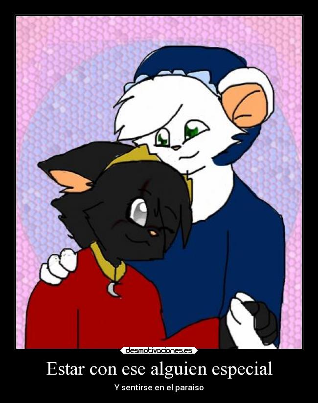 carteles especial paraiso amor gatosnegro oso polar desmotivaciones