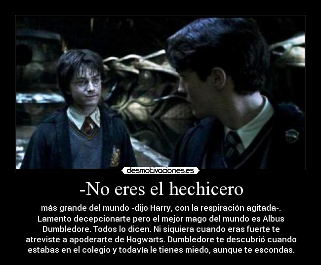 -No eres el hechicero -