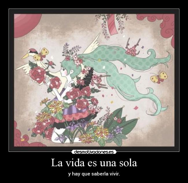 La vida es una sola -