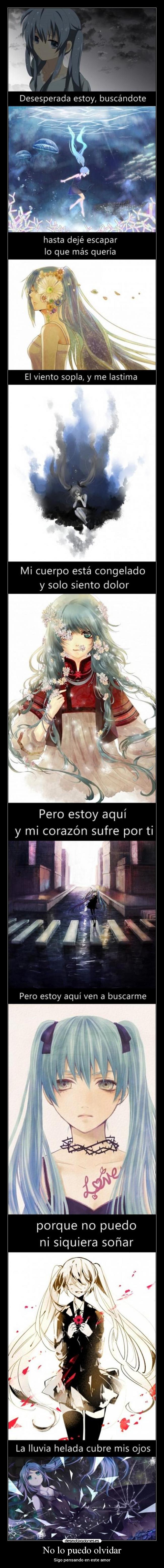 No lo puedo olvidar -