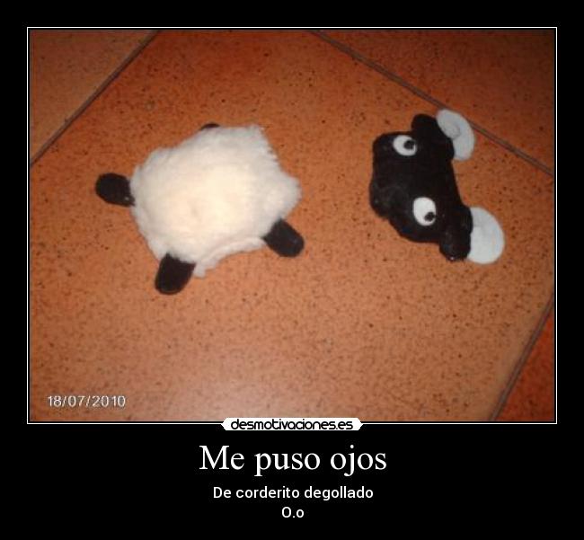 Me puso ojos - De corderito degollado
O.o