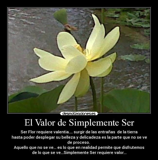 carteles ims dia diferente desmotivaciones