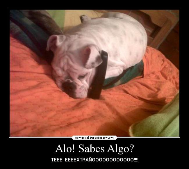 carteles moncho desmotivaciones