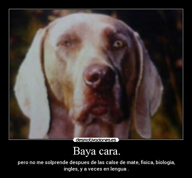 Baya cara. - pero no me solprende despues de las calse de mate, fisica, biologia,
ingles, y a veces en lengua .