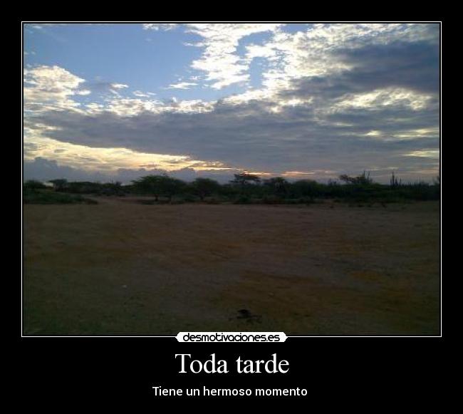 Toda tarde -