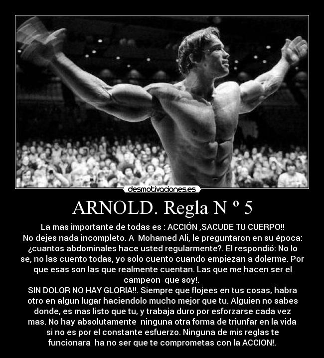 ARNOLD. Regla N º 5 -