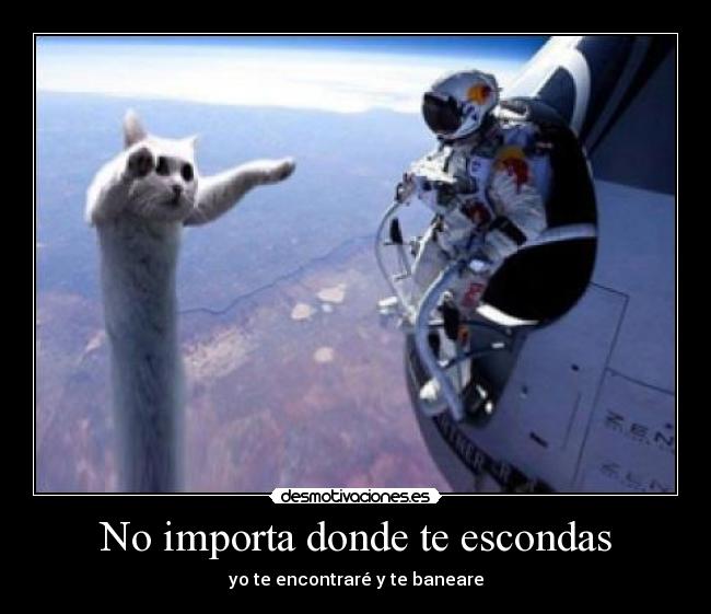 No importa donde te escondas -