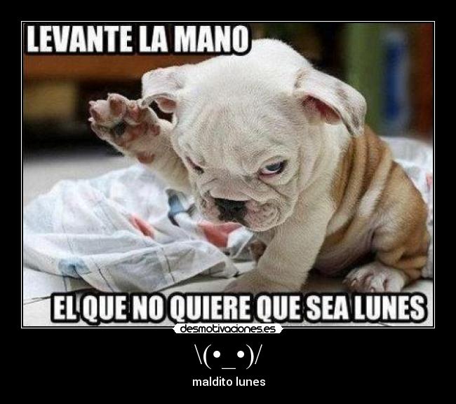 Resultado de imagen de mALDITO LUNES