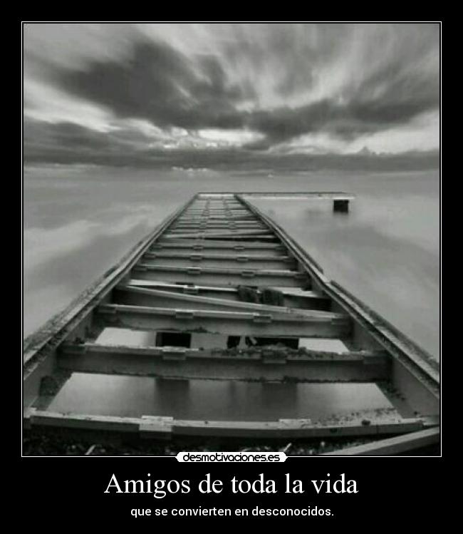 Amigos de toda la vida - 