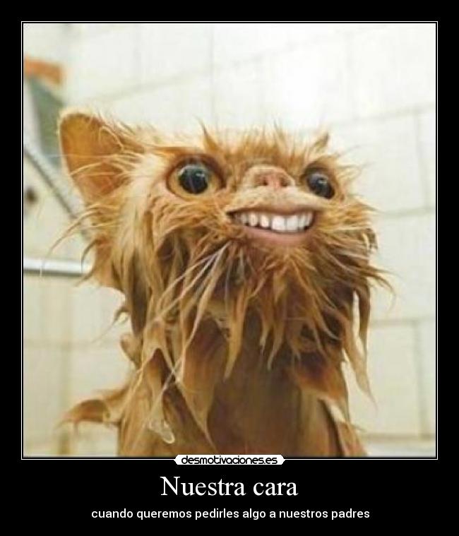Nuestra cara - cuando queremos pedirles algo a nuestros padres