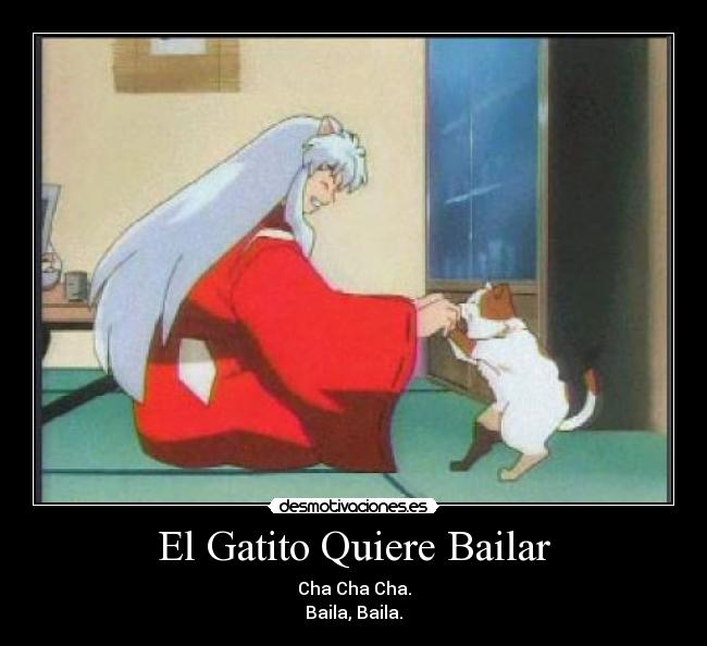 El Gatito Quiere Bailar - Cha Cha Cha.
Baila, Baila.