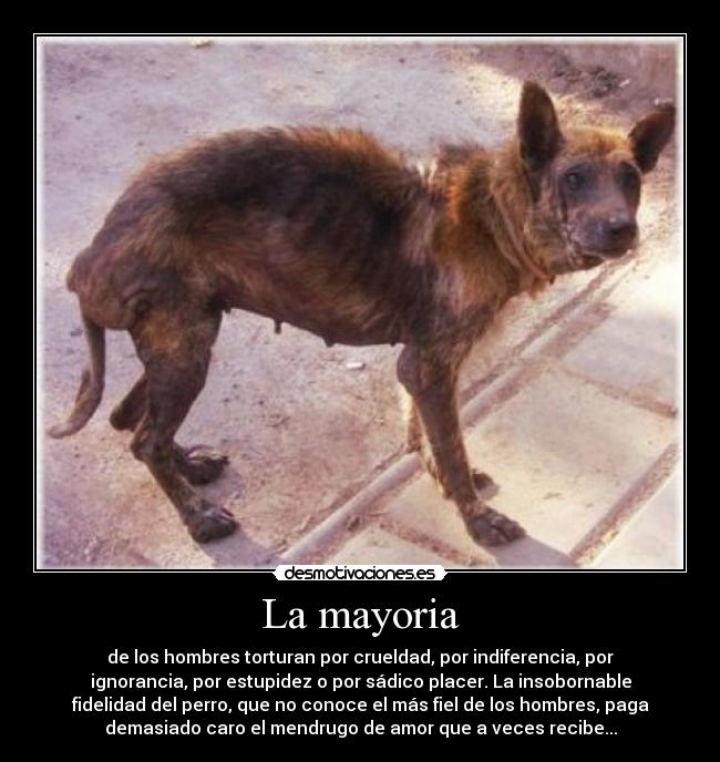 La mayoria - de los hombres torturan por crueldad, por indiferencia, por
ignorancia, por estupidez o por sádico placer. La insobornable
fidelidad del perro, que no conoce el más fiel de los hombres, paga
demasiado caro el mendrugo de amor que a veces recibe...