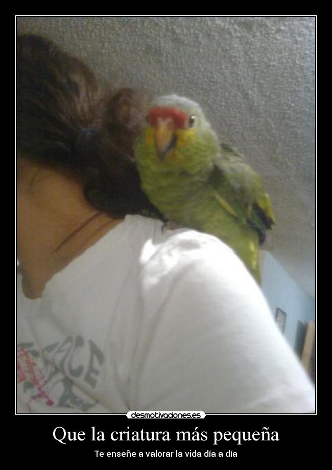 Que la criatura más pequeña - Te enseñe a valorar la vida día a día