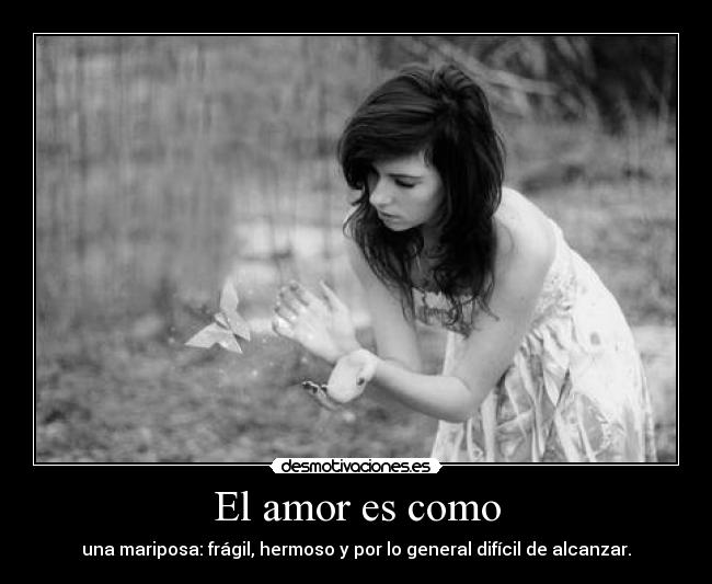 carteles amor desmo02 onlyyourprincess amor mariposa desmotivaciones