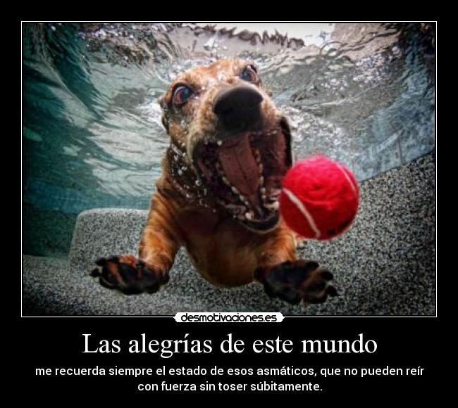 Las alegrías de este mundo -