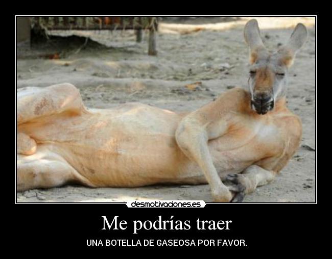 carteles topo desmotivaciones