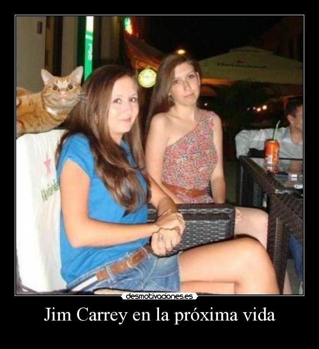 carteles vida jim carrey proxima vida desmotivaciones