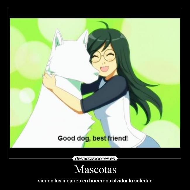 Mascotas -