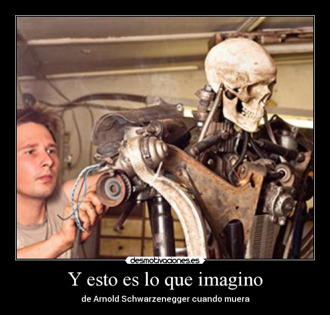 Y esto es lo que imagino - 