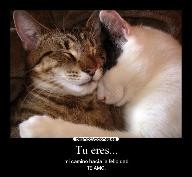 Tu eres... - 