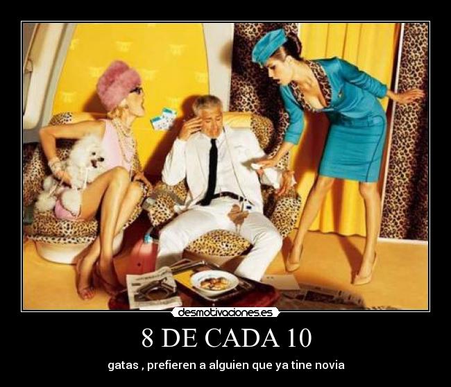 8 DE CADA 10 - gatas , prefieren a alguien que ya tine novia