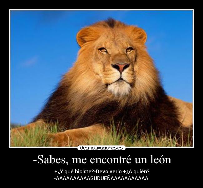 -Sabes, me encontré un león - +¿Y qué hiciste?-Devolverlo.+¿A quién?
-AAAAAAAAAASUDUEÑAAAAAAAAAAA!