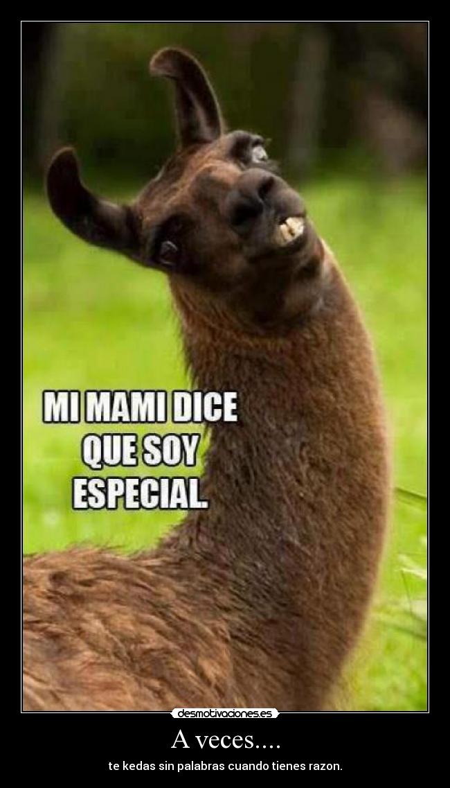 A veces.... - te kedas sin palabras cuando tienes razon.