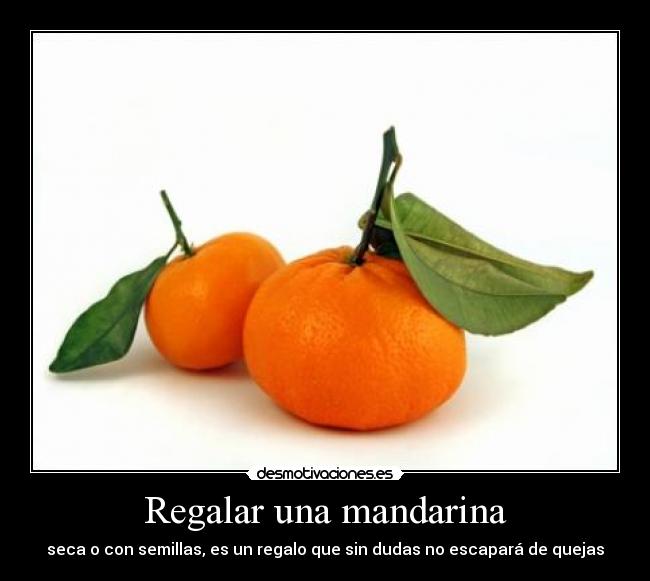 Regalar una mandarina - seca o con semillas, es un regalo que sin dudas no escapará de quejas