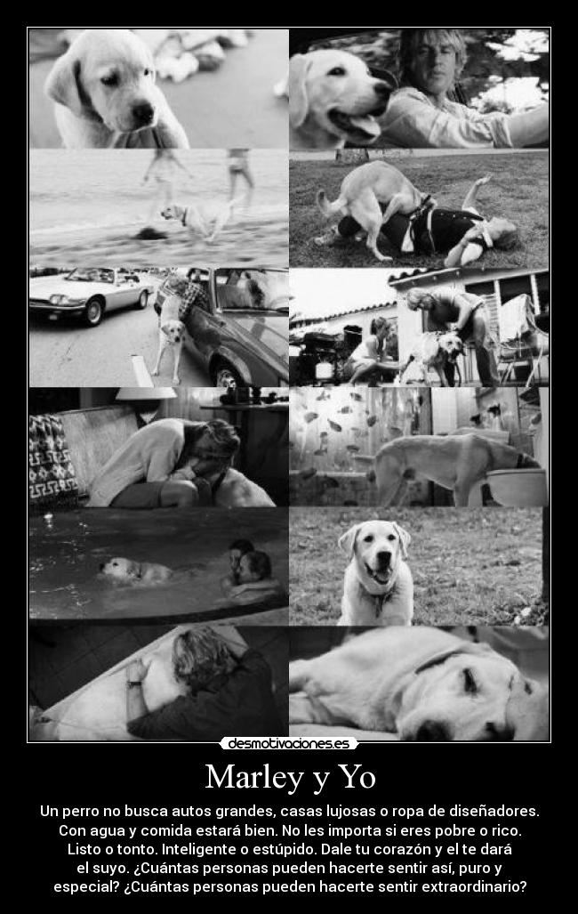 Marley y Yo -