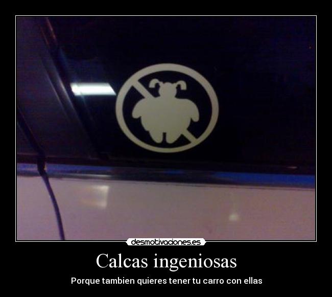 Calcas ingeniosas - 