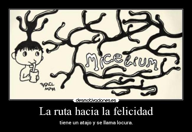 La ruta hacia la felicidad -