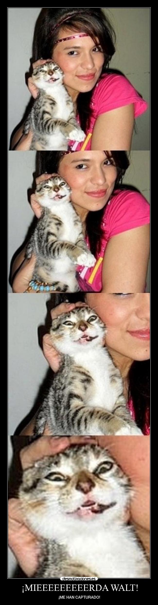 ¡MIEEEEEEEEERDA WALT! -