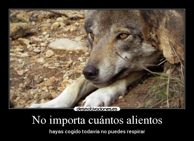 No importa cuántos alientos - 