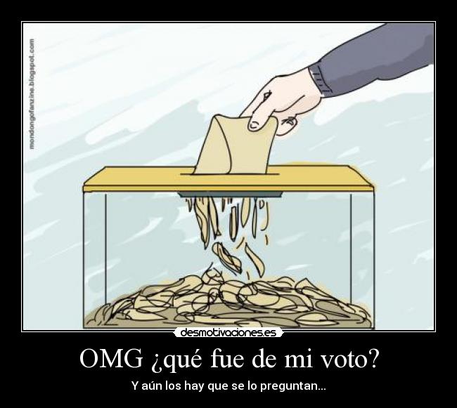 OMG ¿qué fue de mi voto? -