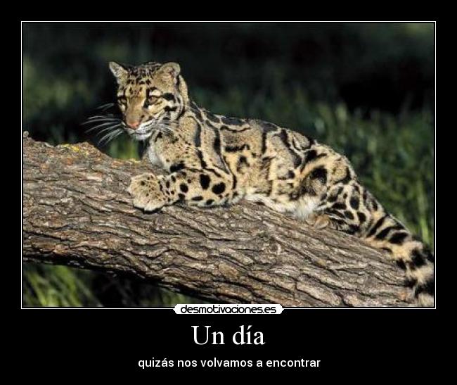 carteles malaquita desmotivaciones