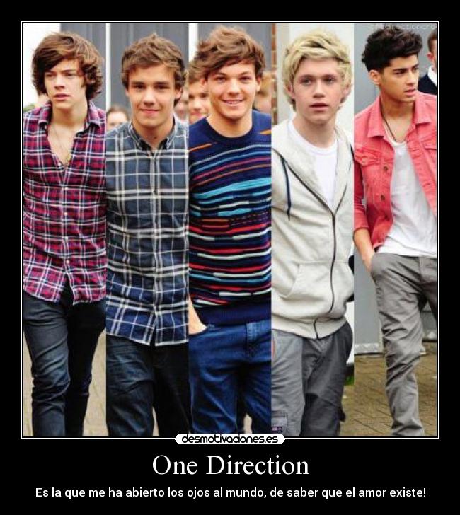 carteles one direction desmotivaciones