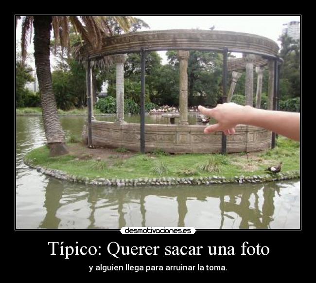 Típico: Querer sacar una foto - y alguien llega para arruinar la toma.