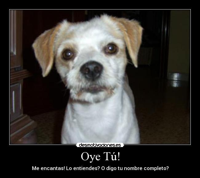 Oye Tú! - Me encantas! Lo entiendes? O digo tu nombre completo?