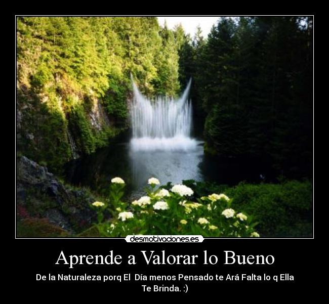 Aprende a Valorar lo Bueno - De la Naturaleza porq El Día menos Pensado te Ará Falta lo q Ella
Te Brinda. :)