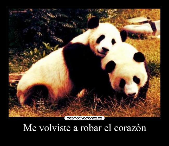 Me volviste a robar el corazón - 