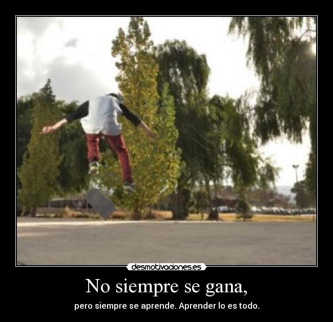 carteles aprender todo desmotivaciones