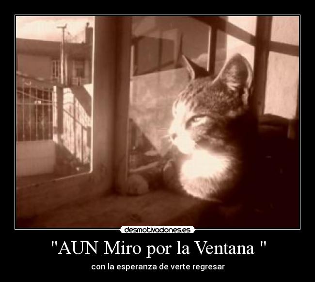 AUN Miro por la Ventana  - 