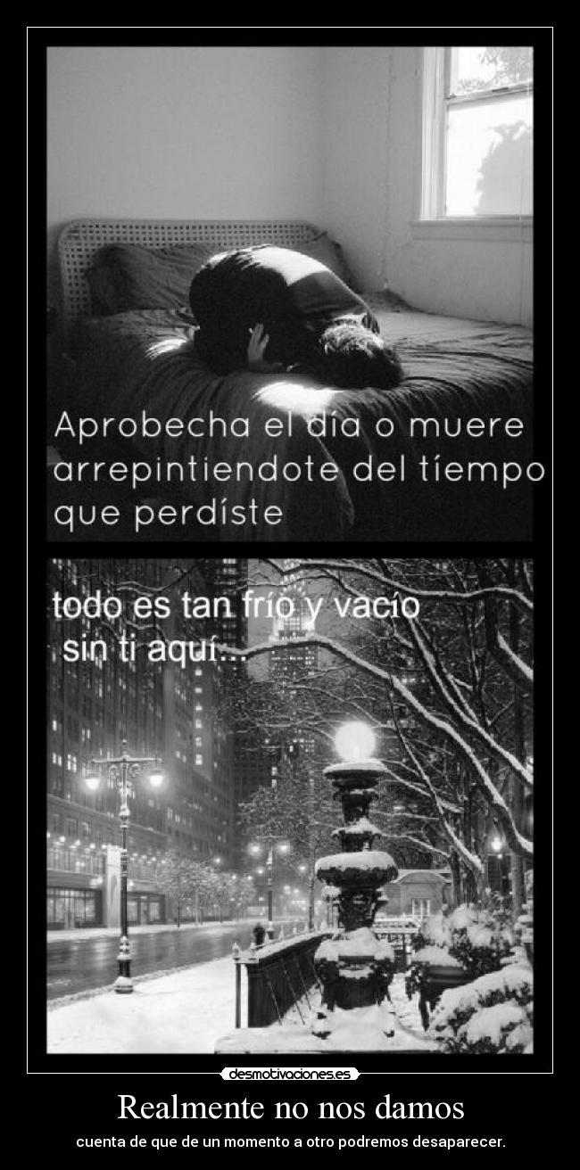 Realmente no nos damos -