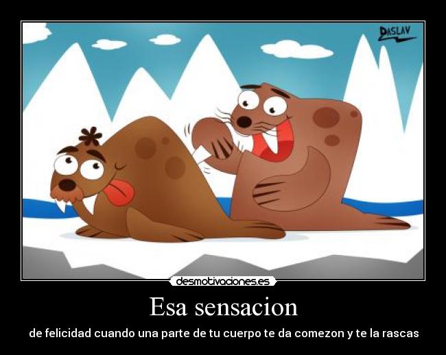 Esa sensacion - de felicidad cuando una parte de tu cuerpo te da comezon y te la rascas