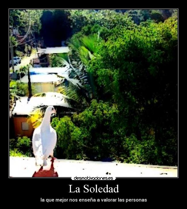 La Soledad - 